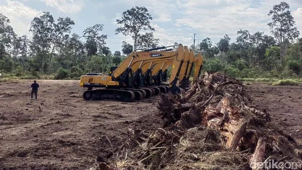 Proyek Pangan dan Bioetanol 5,6 Juta Hektare: WALHI Soroti Ancaman Bencana Ekologis dan Konflik Agraria